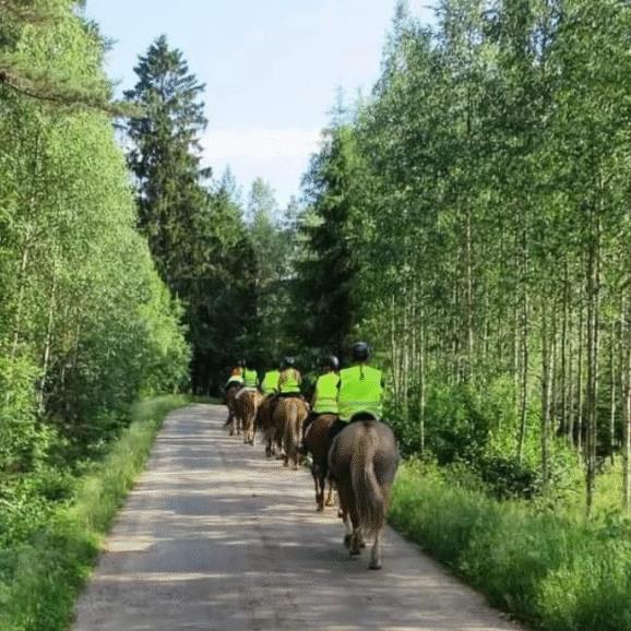 Kylämäen hevostila