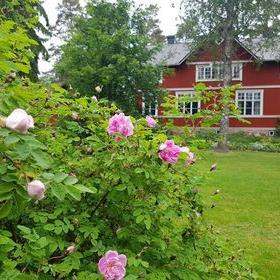 Söderlångvikin museo