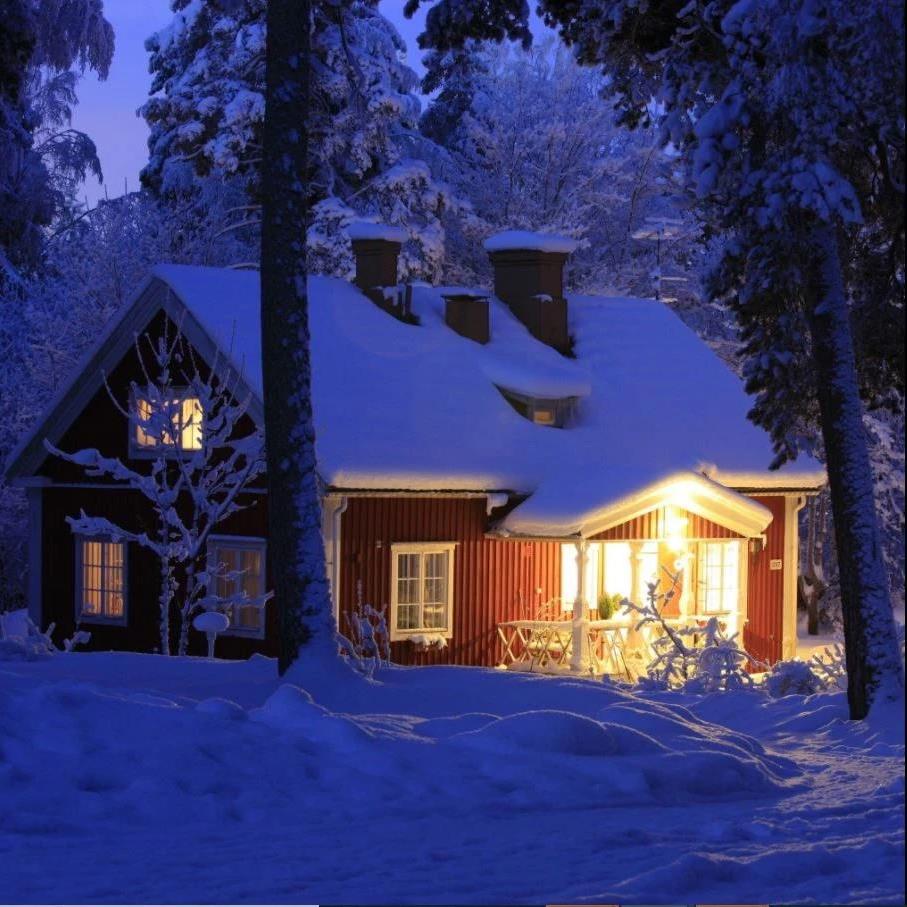 Villa Tammikko